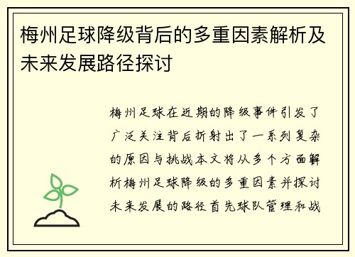 梅州足球降级背后的多重因素解析及未来发展路径探讨